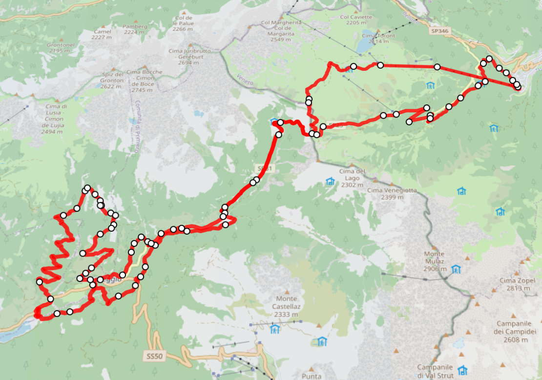 Falcade - Rifugio Laresei - Passo Valles - Paneveggio - Malga Bocche - Anello