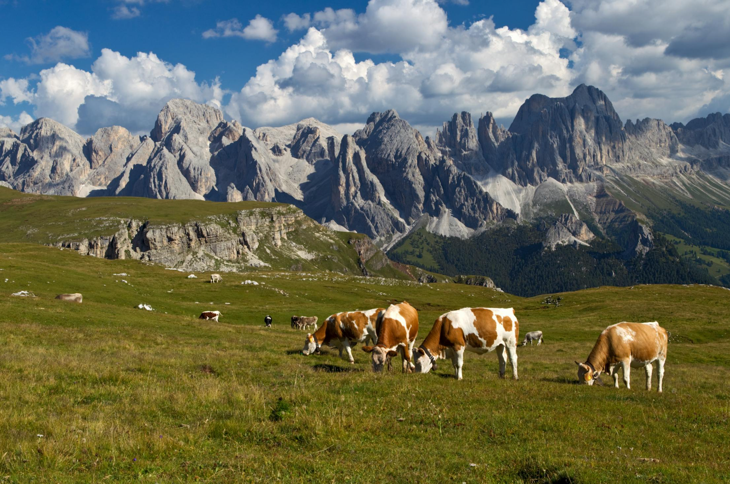 Sellaronda in senso orario